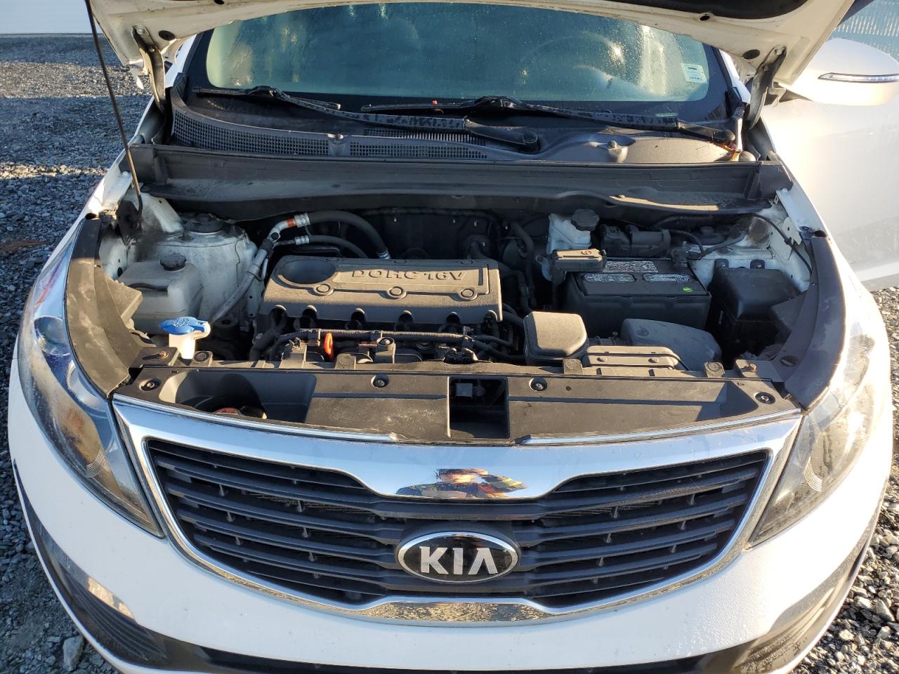 2013 Kia Sportage Ex VIN: KNDPC3A26D7546659 Lot: 81889145