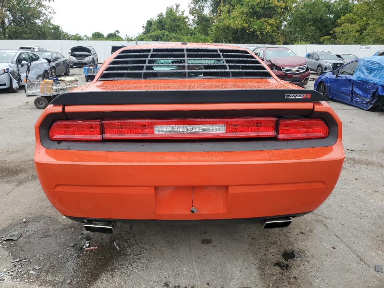 2010 Dodge Challenger Srt-8 VIN: 2B3CJ7DW1AH261833 Lot: 81737945