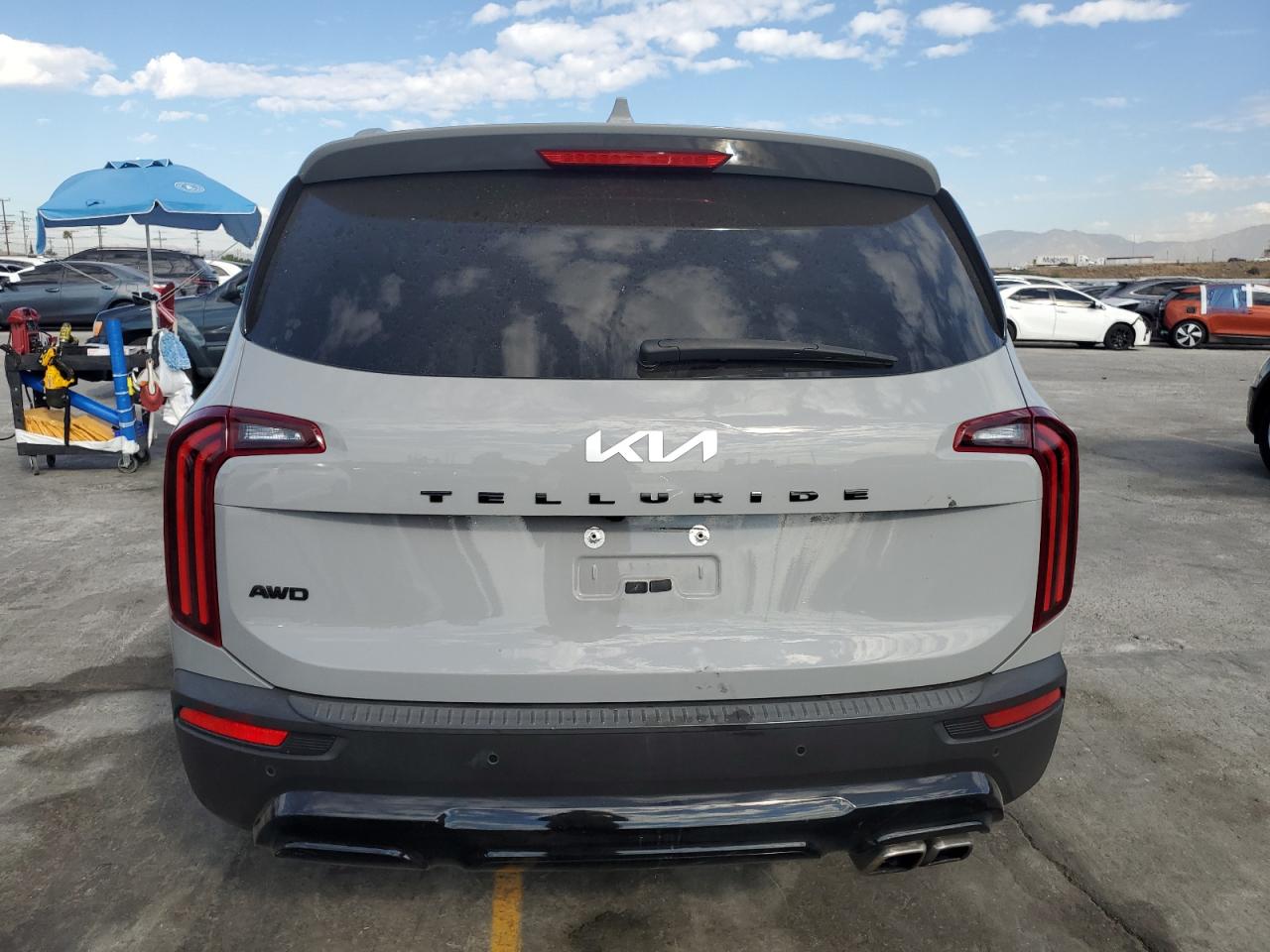 2022 Kia Telluride Sx VIN: 5XYP5DHC7NG237883 Lot: 80575275