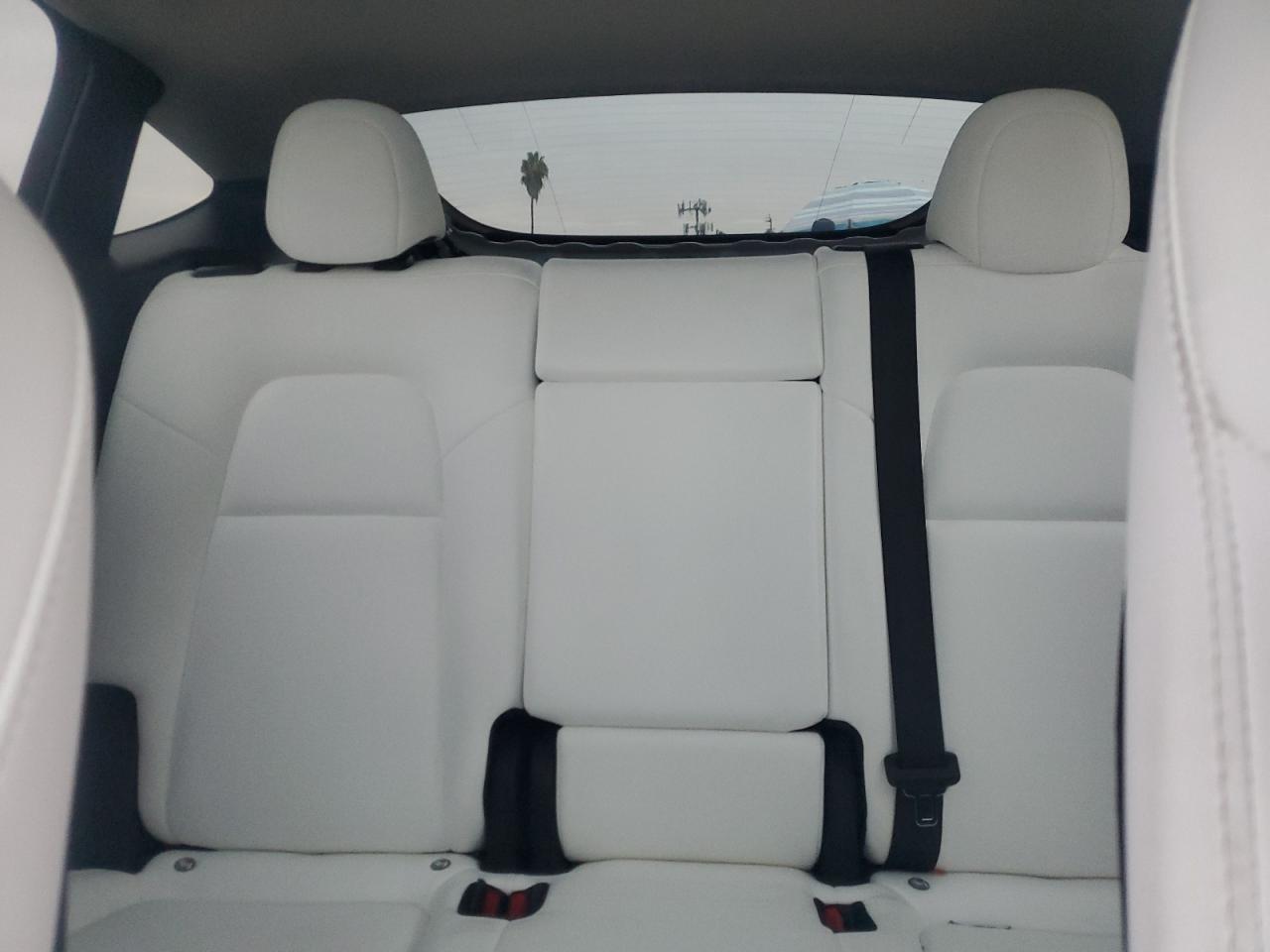 2023 Tesla Model Y VIN: 7SAYGDEE4PF624392 Lot: 81430885