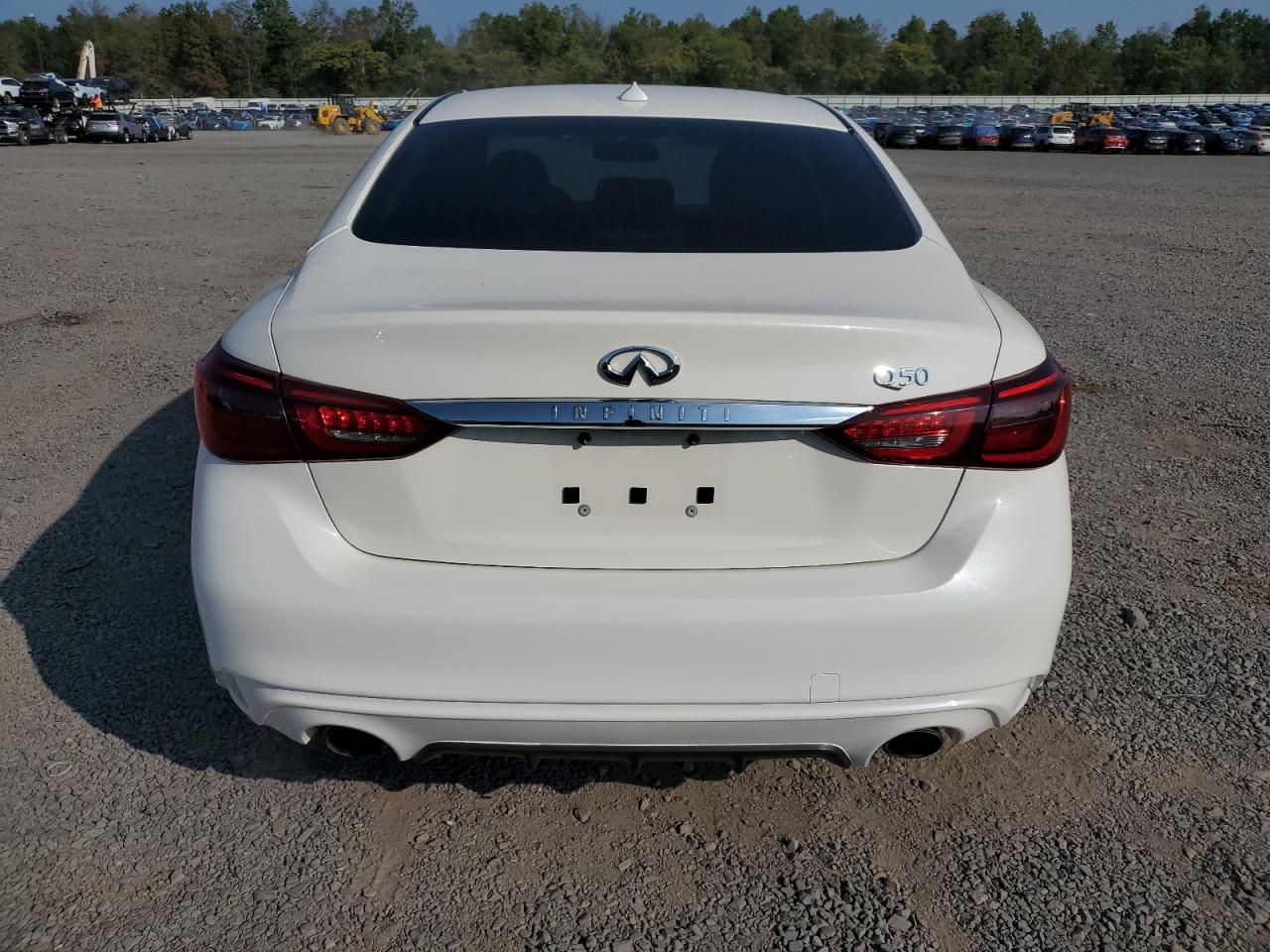 2019 Infiniti Q50 Luxe VIN: JN1EV7AP4KM540882 Lot: 80099715