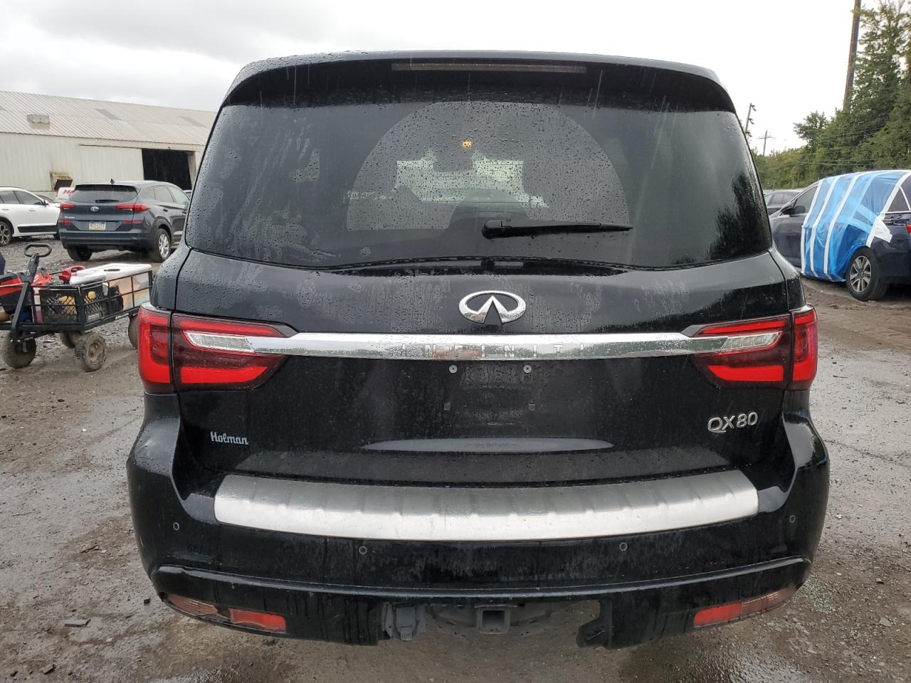2018 Infiniti Qx80 Base VIN: JN8AZ2NE0J9193956 Lot: 81097485