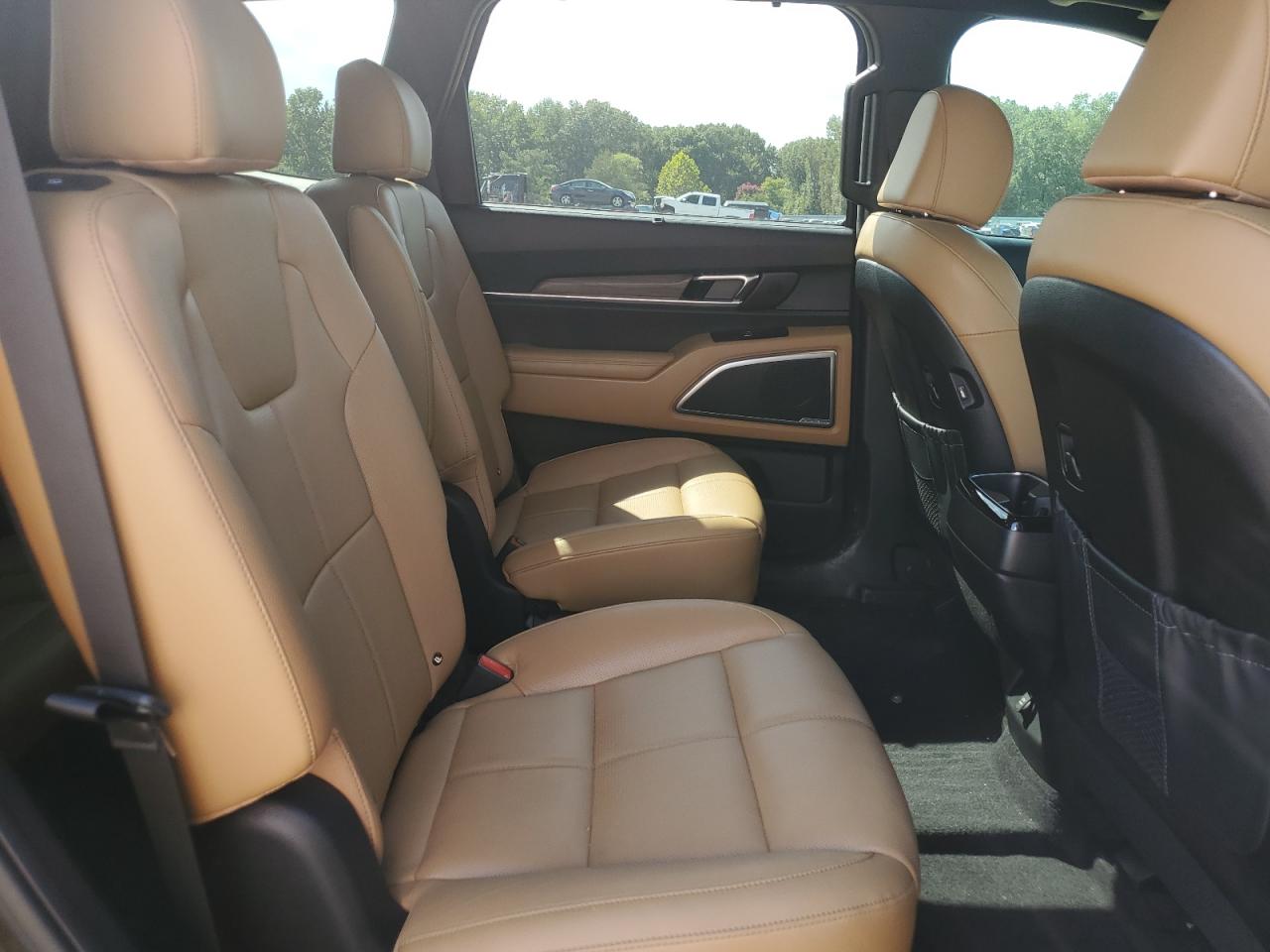 2022 Kia Telluride Sx VIN: 5XYP54HC7NG244185 Lot: 71480065