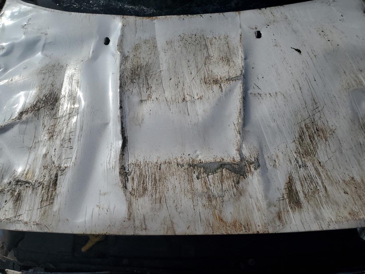 2016 Ford Focus Titanium VIN: 1FADP3N29GL303527 Lot: 81899375