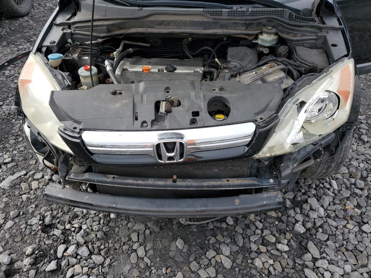 2009 Honda Cr-V Exl VIN: 5J6RE38719L026740 Lot: 80912225