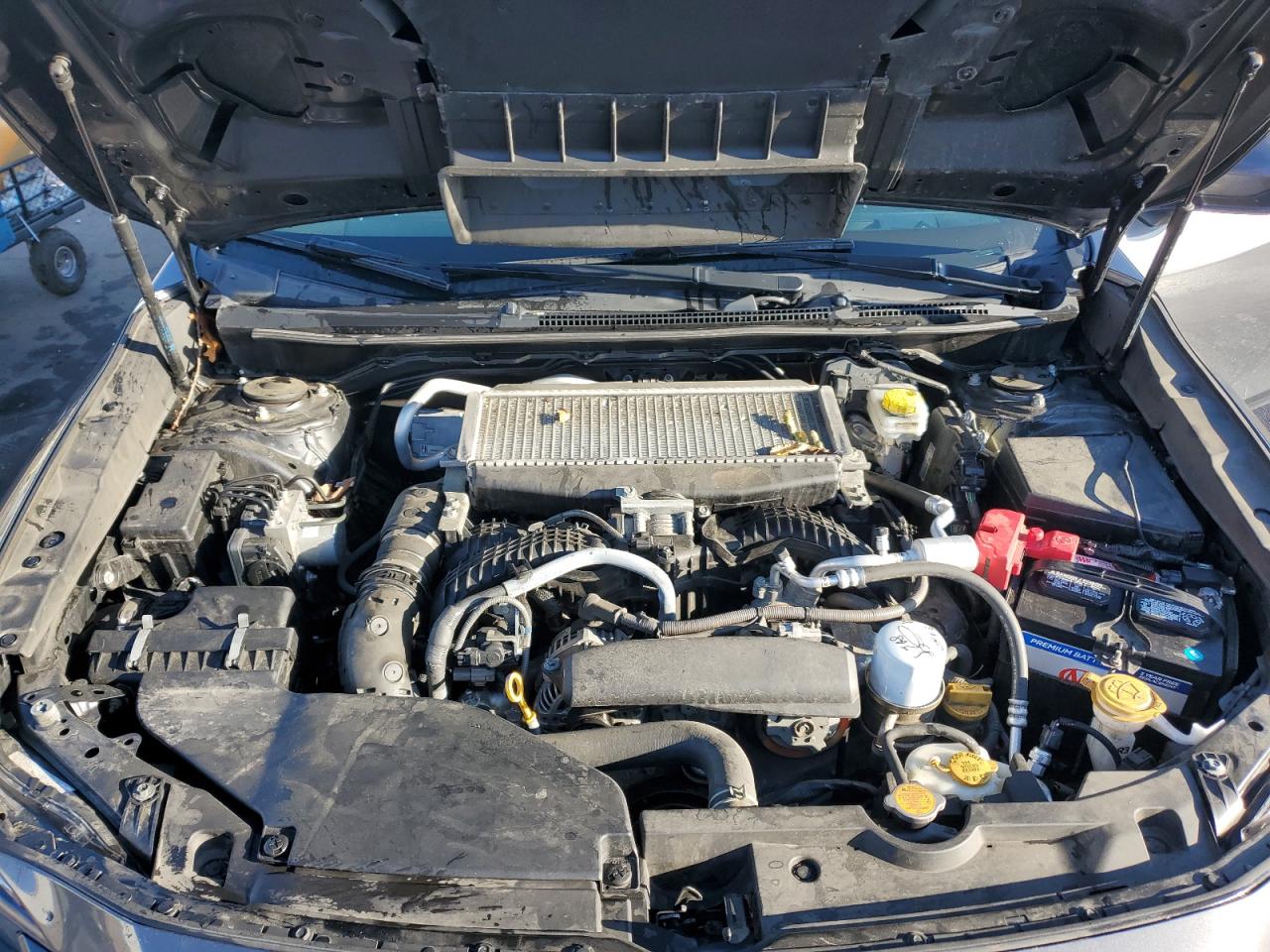 2022 Subaru Wrx VIN: JF1VBAB62N8008915 Lot: 81048565