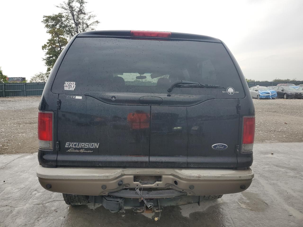 2003 Ford Excursion Eddie Bauer VIN: 1FMNU45S53EB46246 Lot: 81377405