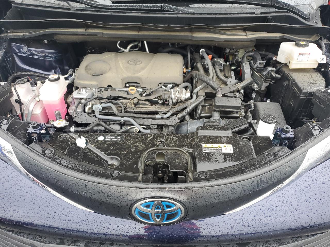 2022 Toyota Sienna Xle VIN: 5TDYRKEC7NS115593 Lot: 81874585