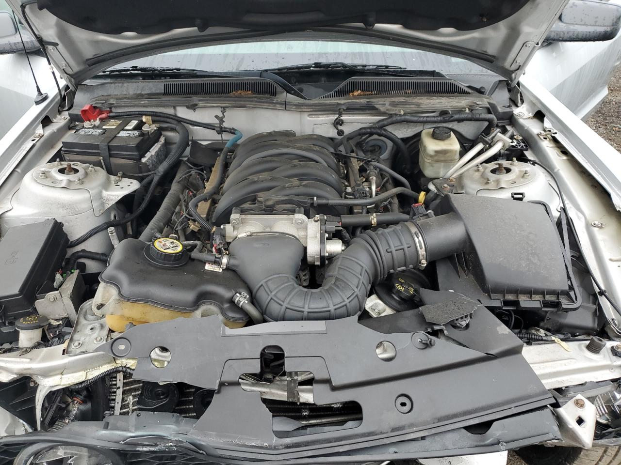 2006 Ford Mustang Gt VIN: 1ZVFT82H465248344 Lot: 83787835