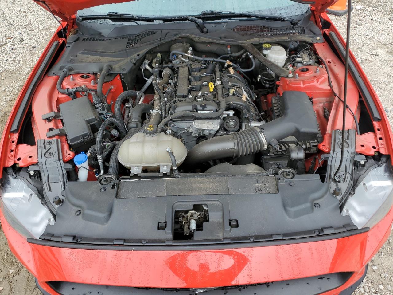 2022 Ford Mustang VIN: 1FA6P8TH8N5117525 Lot: 72055245