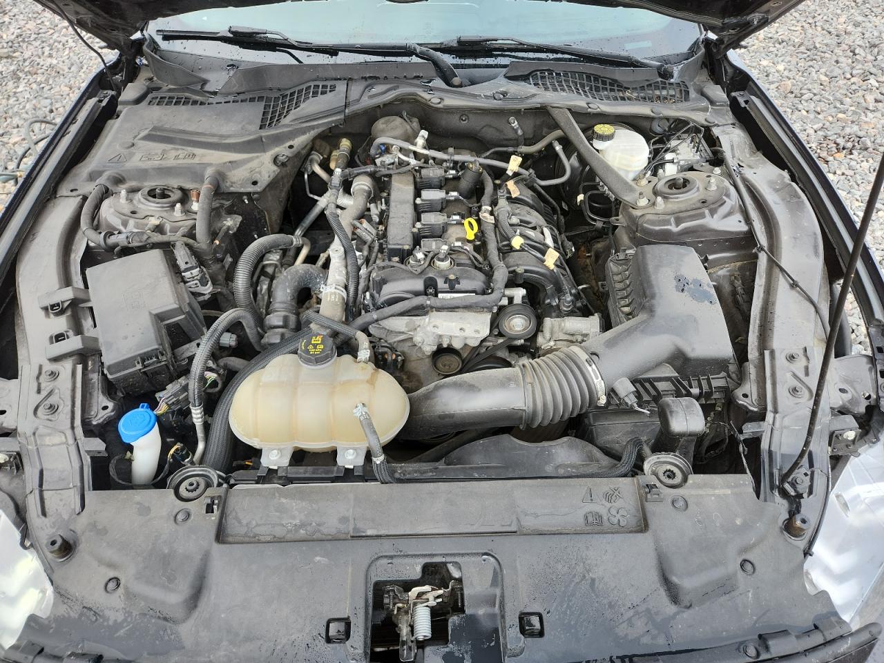 2022 Ford Mustang VIN: 1FATP8UH4N5102814 Lot: 81501575