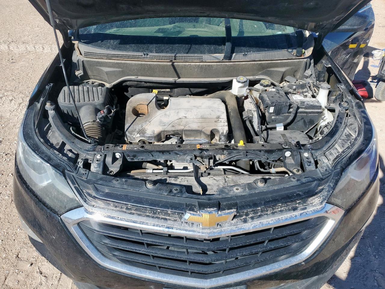 2019 Chevrolet Equinox Lt VIN: 2GNAXKEVXK6141966 Lot: 81749585