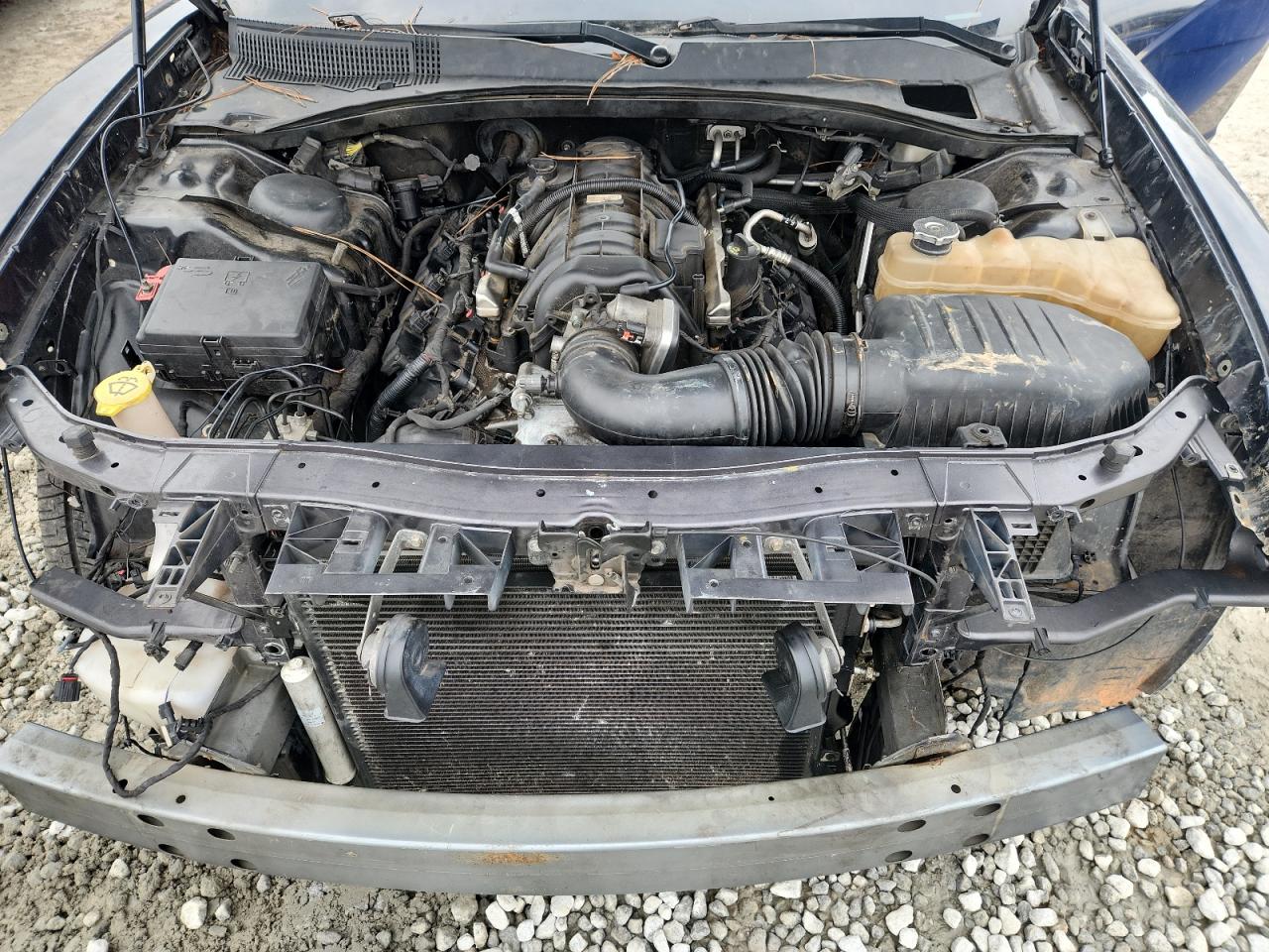 2011 Dodge Charger Police VIN: 2B3CL1CT8BH539899 Lot: 81877965