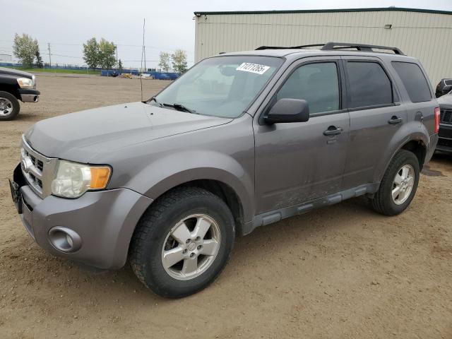 2012 FORD ESCAPE XLT   for sale at Copart AB - CALGARY