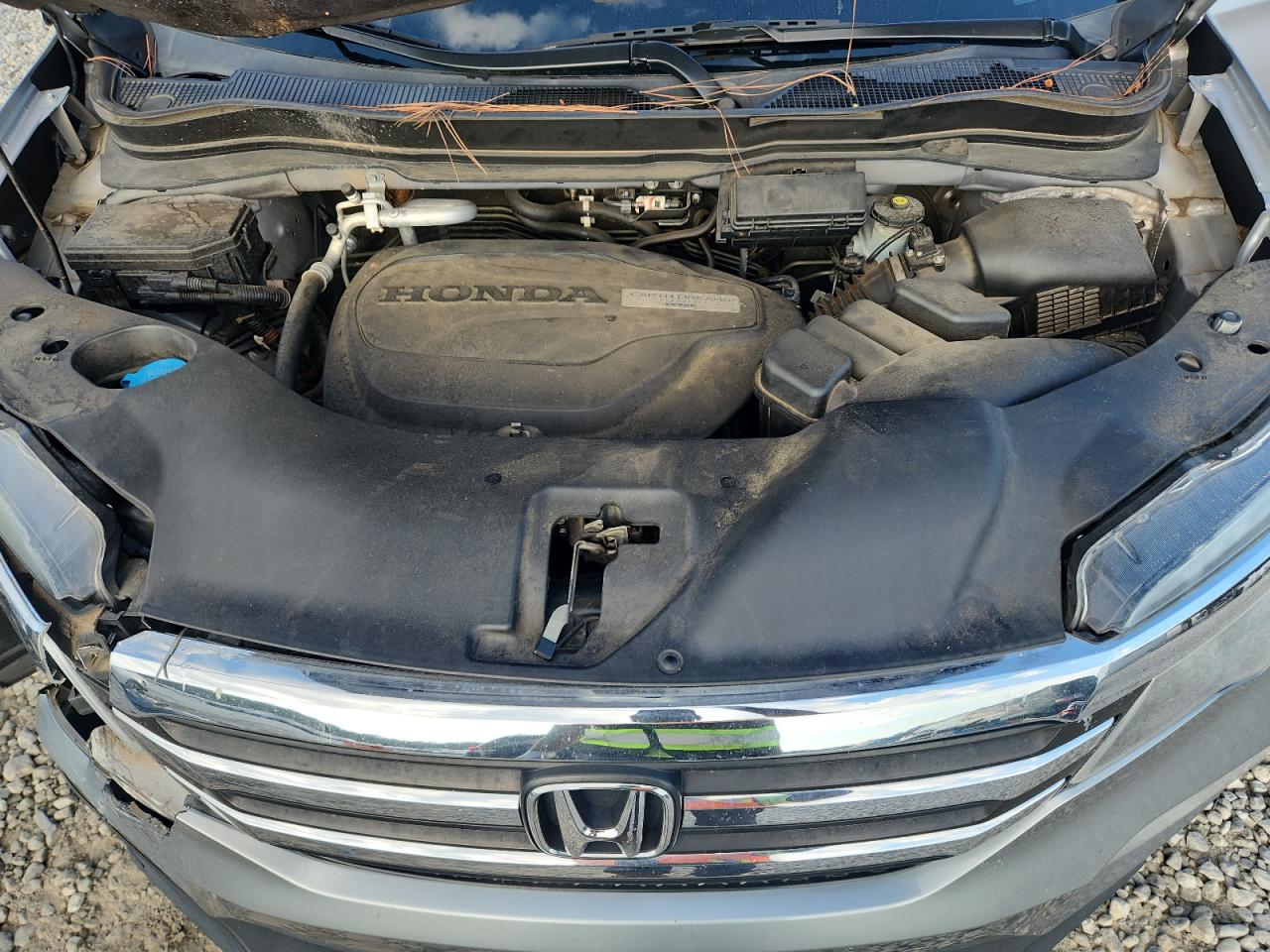 2018 Honda Pilot Exl VIN: 5FNYF5H86JB009992 Lot: 71565125