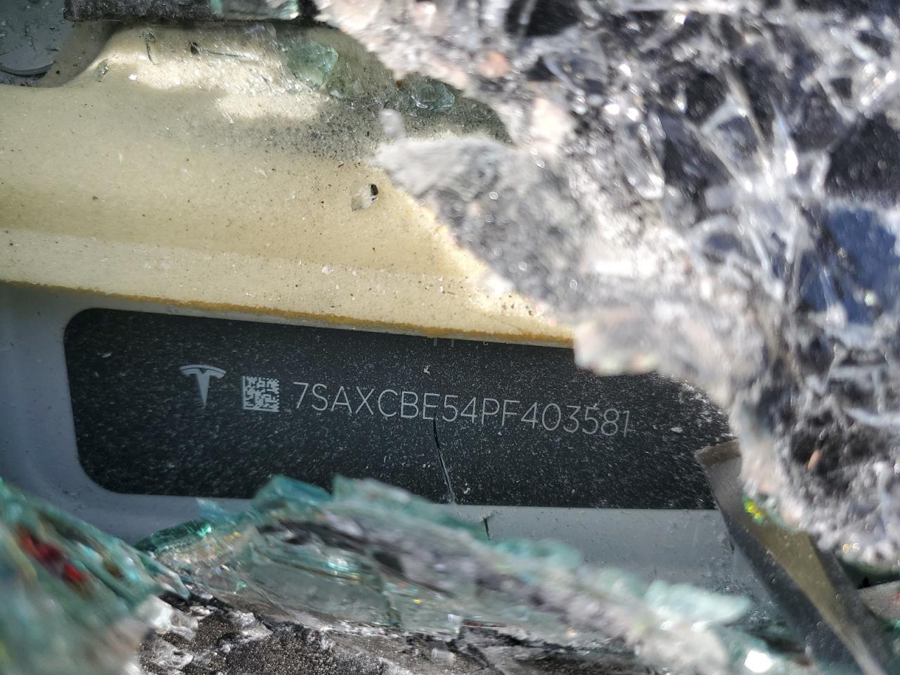 2023 Tesla Model X VIN: 7SAXCBE54PF403581 Lot: 81604995