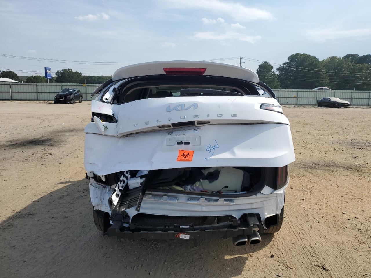 2024 Kia Telluride Ex VIN: 5XYP34GC2RG492017 Lot: 81126885