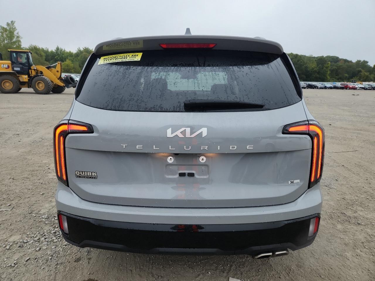 2024 Kia Telluride Ex VIN: 5XYP3DGC3RG460239 Lot: 80366055