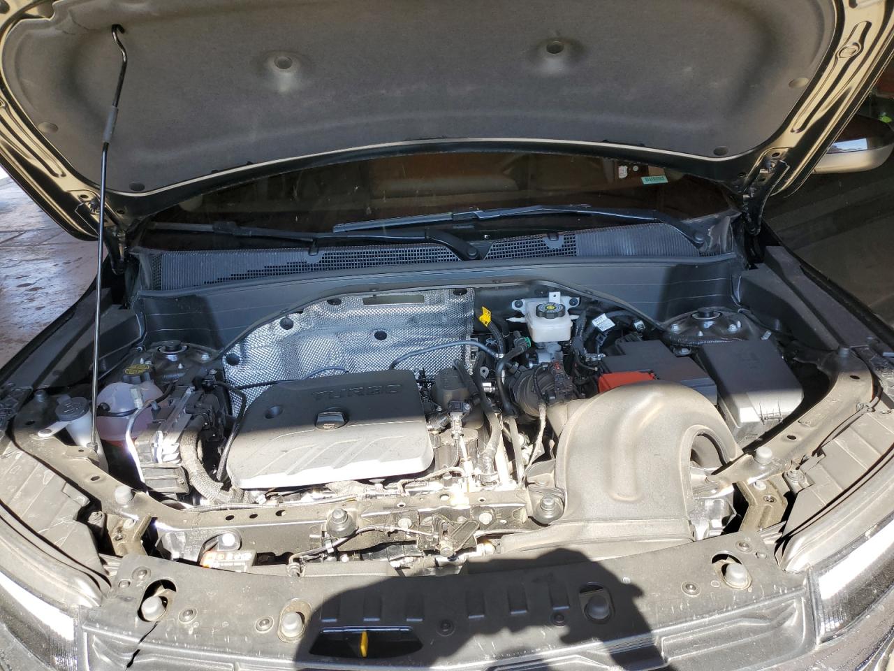 2025 Chevrolet Trailblazer Lt VIN: KL79MRSL8SB215556 Lot: 71439835