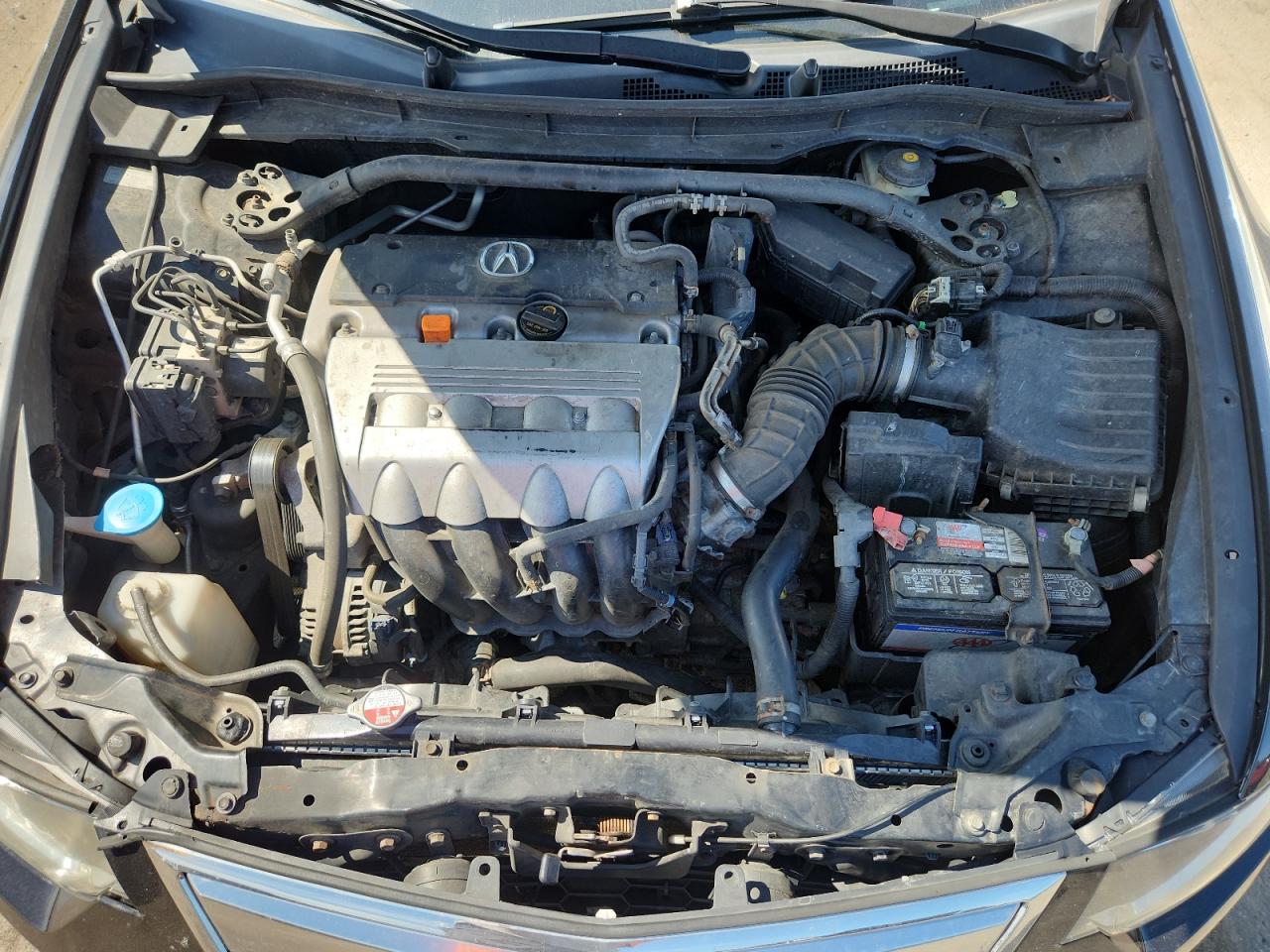 2011 Acura Tsx VIN: JH4CU2F64BC012788 Lot: 80476195