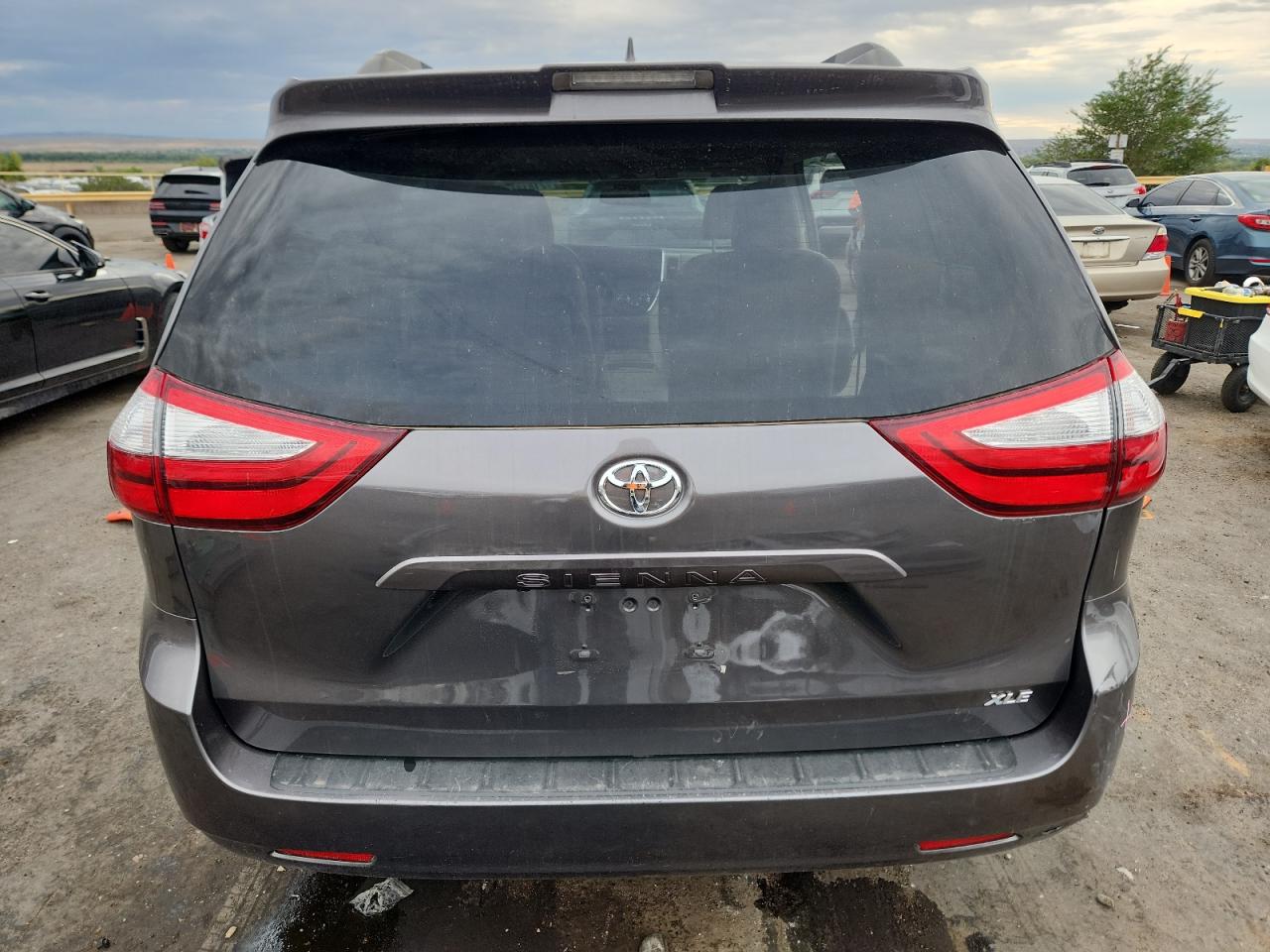 2019 Toyota Sienna Xle VIN: 5TDYZ3DC1KS972771 Lot: 71812355
