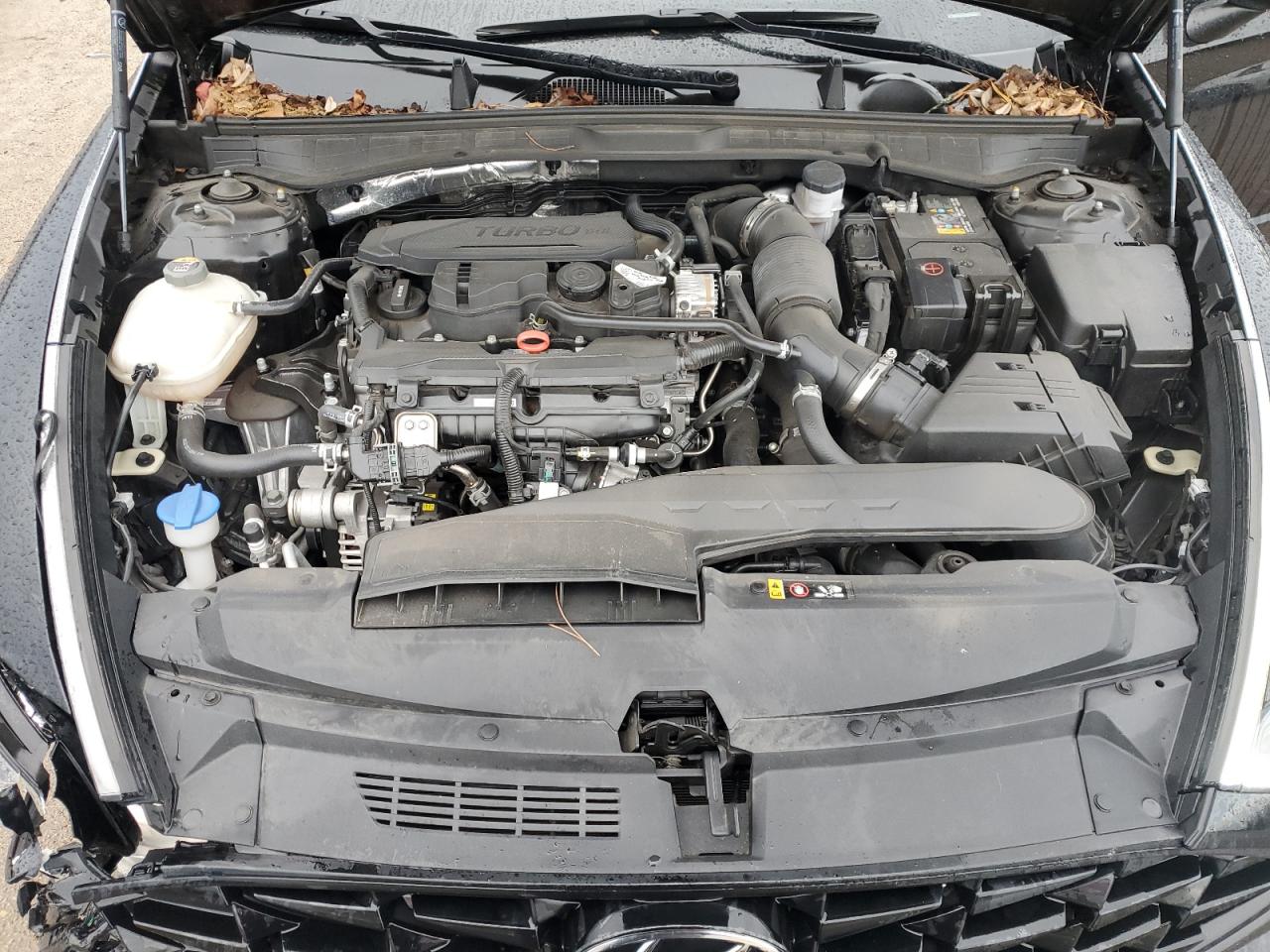 2022 Hyundai Sonata Limited VIN: KMHL34J21NA194921 Lot: 81644765