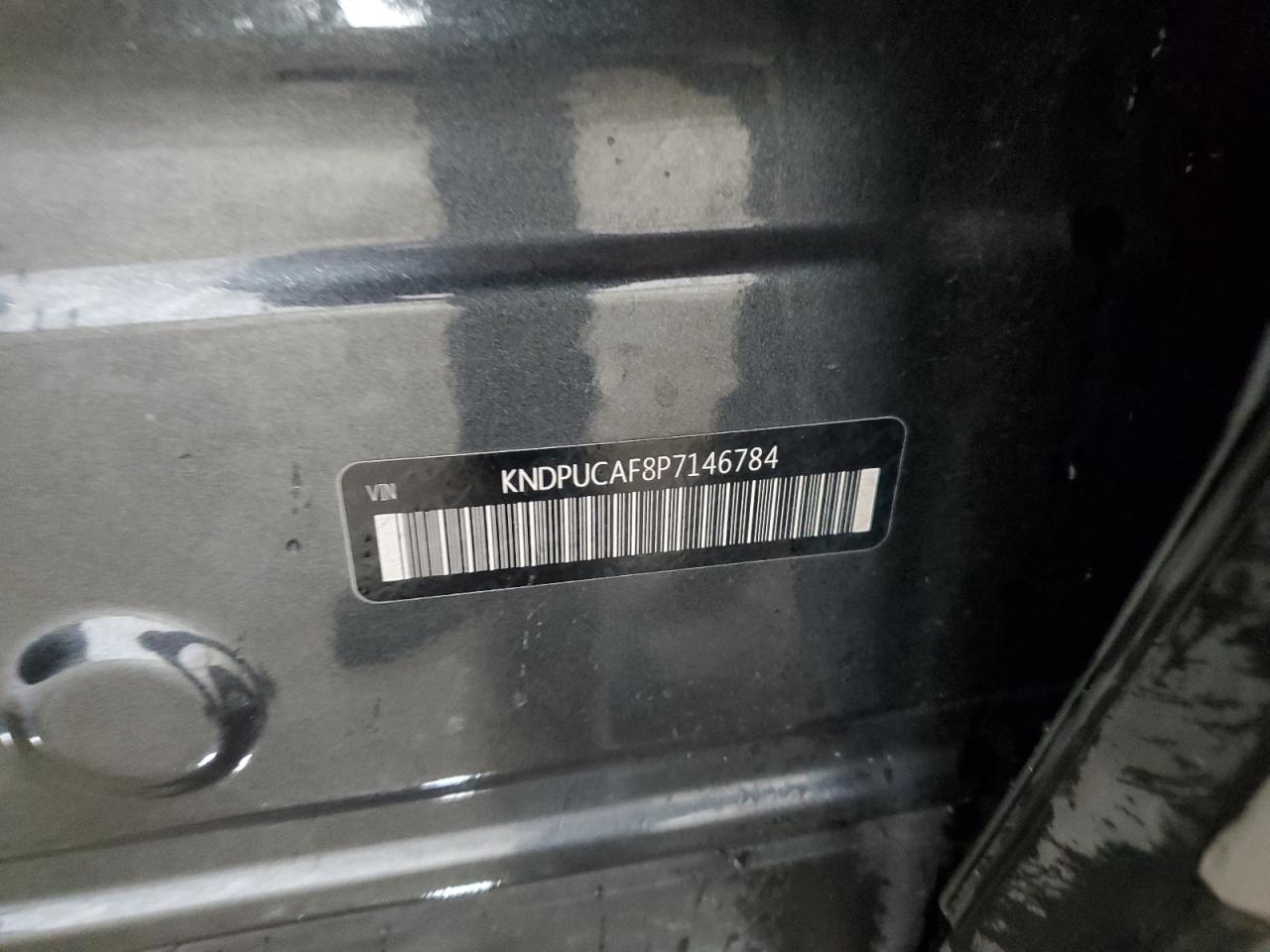 2023 Kia Sportage Lx VIN: KNDPUCAF8P7146784 Lot: 81642625