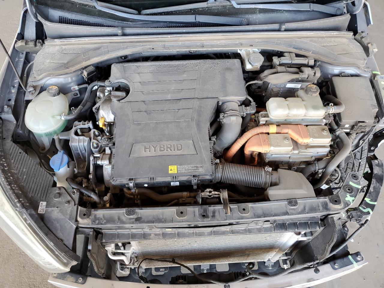 2019 Hyundai Ioniq Blue VIN: KMHC65LC6KU134467 Lot: 80510535