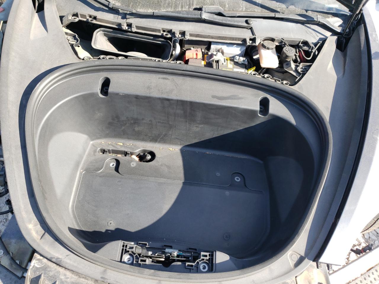 2020 Tesla Model 3 VIN: 5YJ3E1EA5LF736699 Lot: 81386685