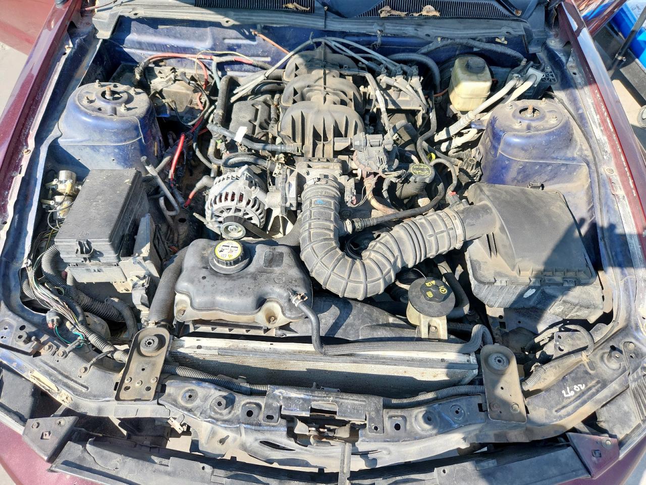 2007 Ford Mustang VIN: 1ZVFT80N875210674 Lot: 84933095