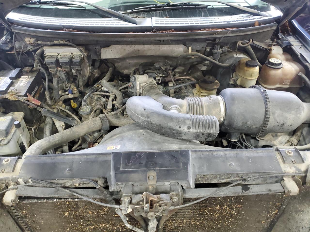 2007 Ford F150 Supercrew VIN: 1FTRW12W37KD04161 Lot: 82055735