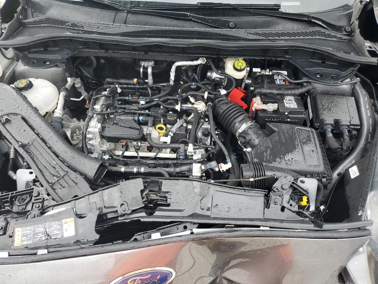 2022 Ford Escape Sel VIN: 1FMCU9H66NUA25706 Lot: 81573115