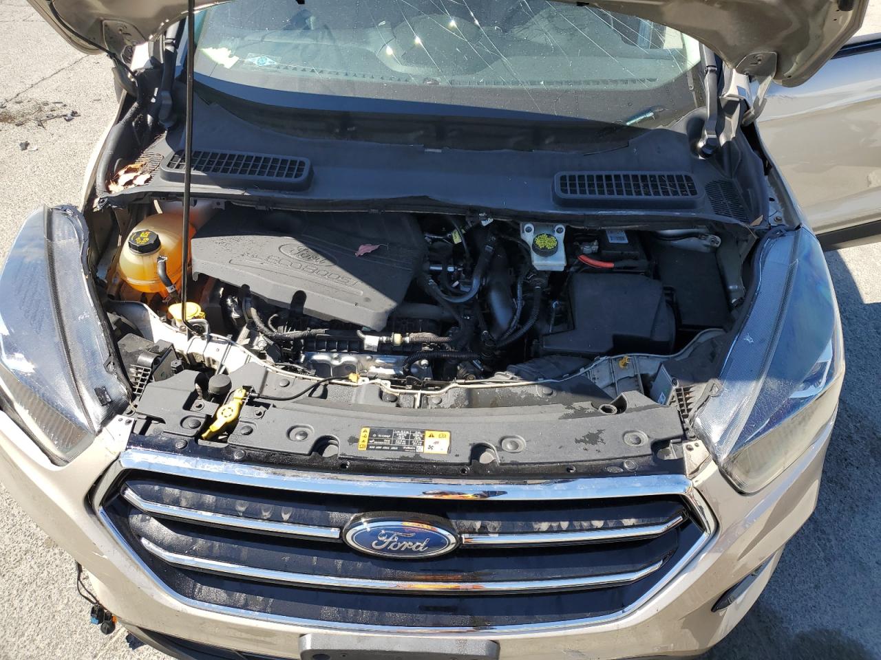 2018 Ford Escape Se VIN: 1FMCU0GD7JUA85872 Lot: 81296615
