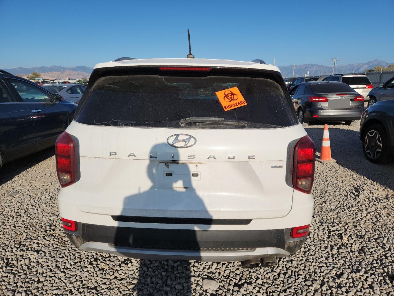 2020 Hyundai Palisade Sel VIN: KM8R2DHEXLU044881 Lot: 80876265