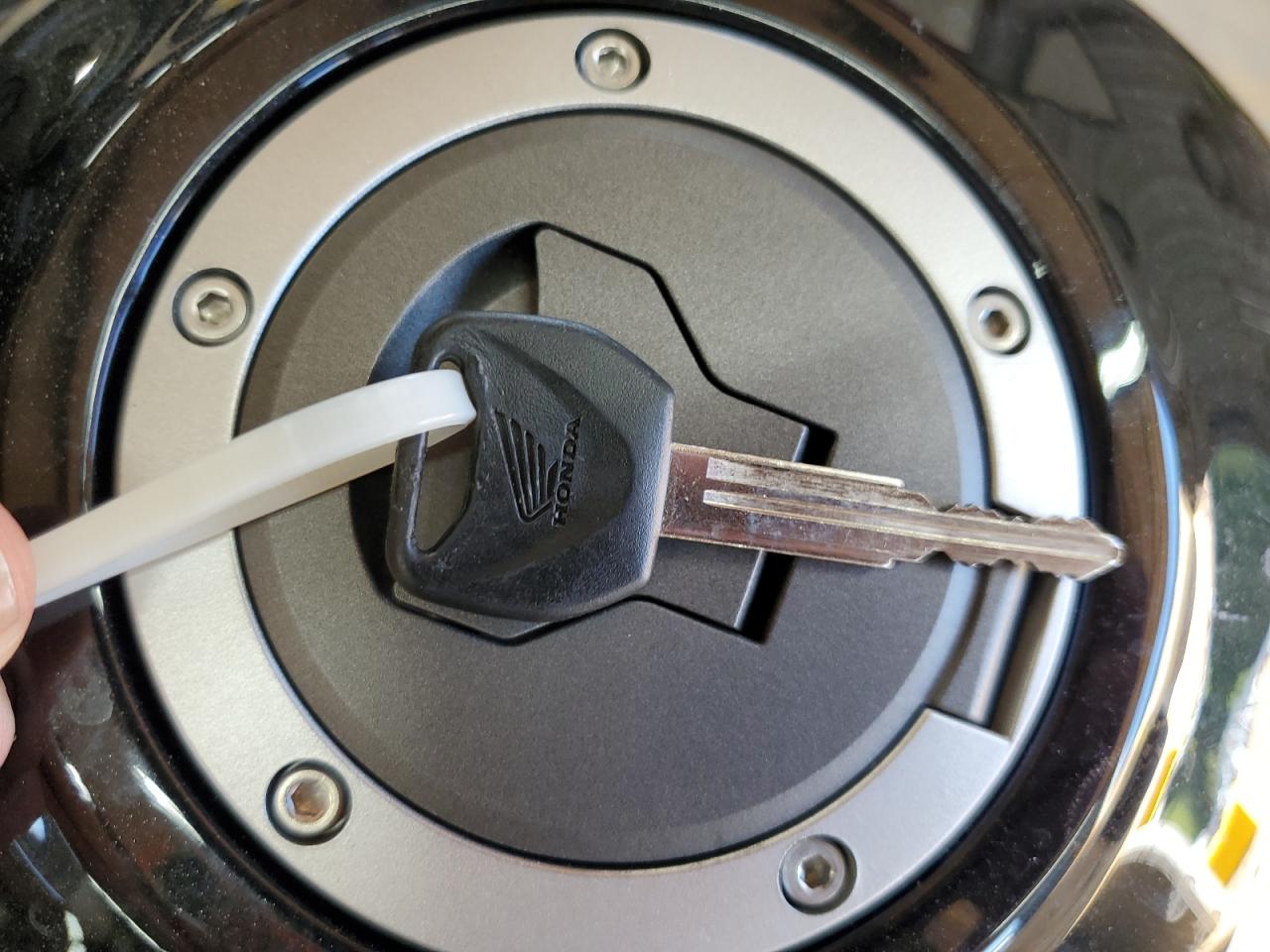 2024 Honda Cmx300 VIN: MLHNC5300R5700328 Lot: 81671145