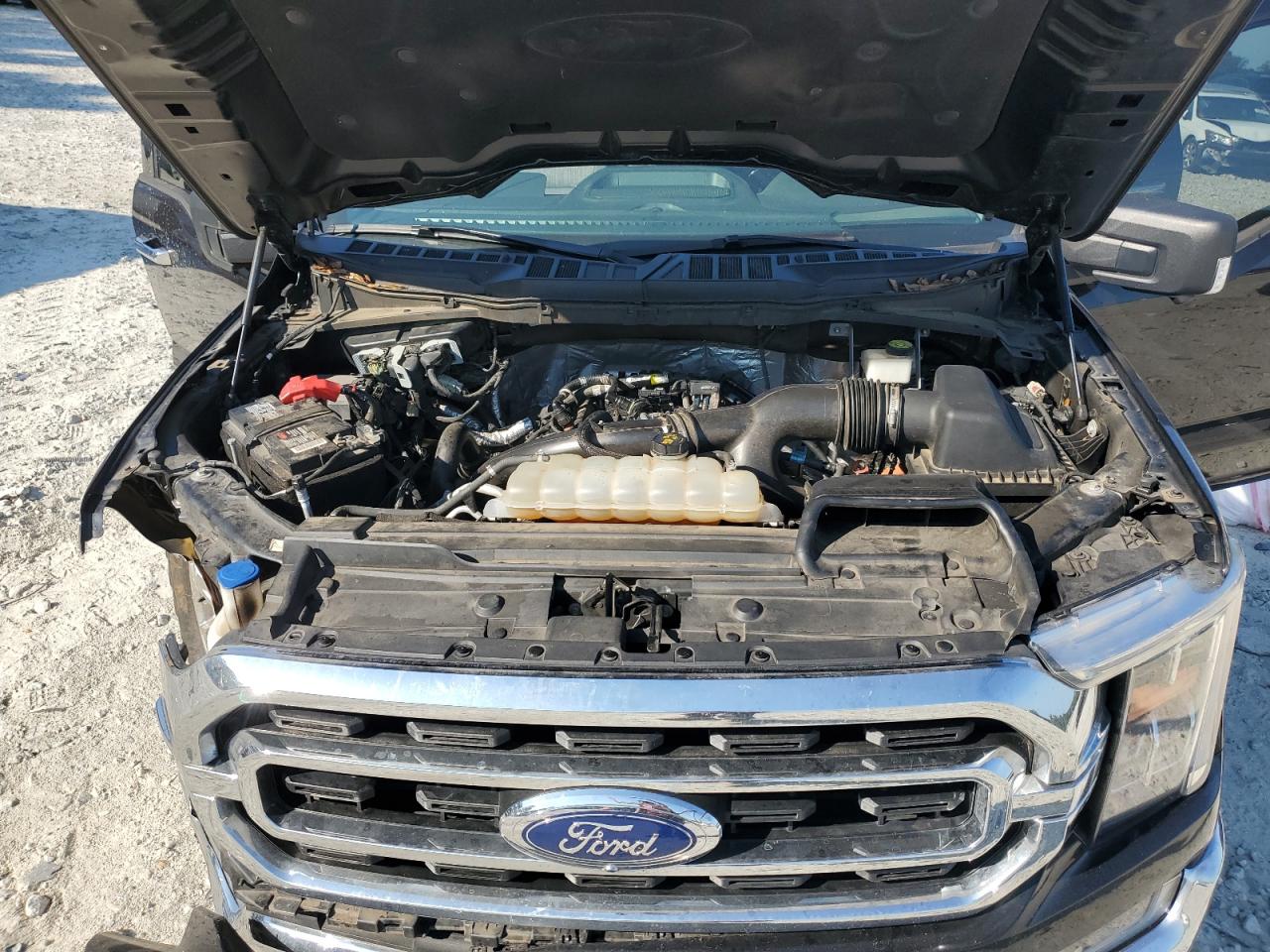 2021 Ford F150 Supercrew VIN: 1FTEW1CP2MKD30381 Lot: 80031025