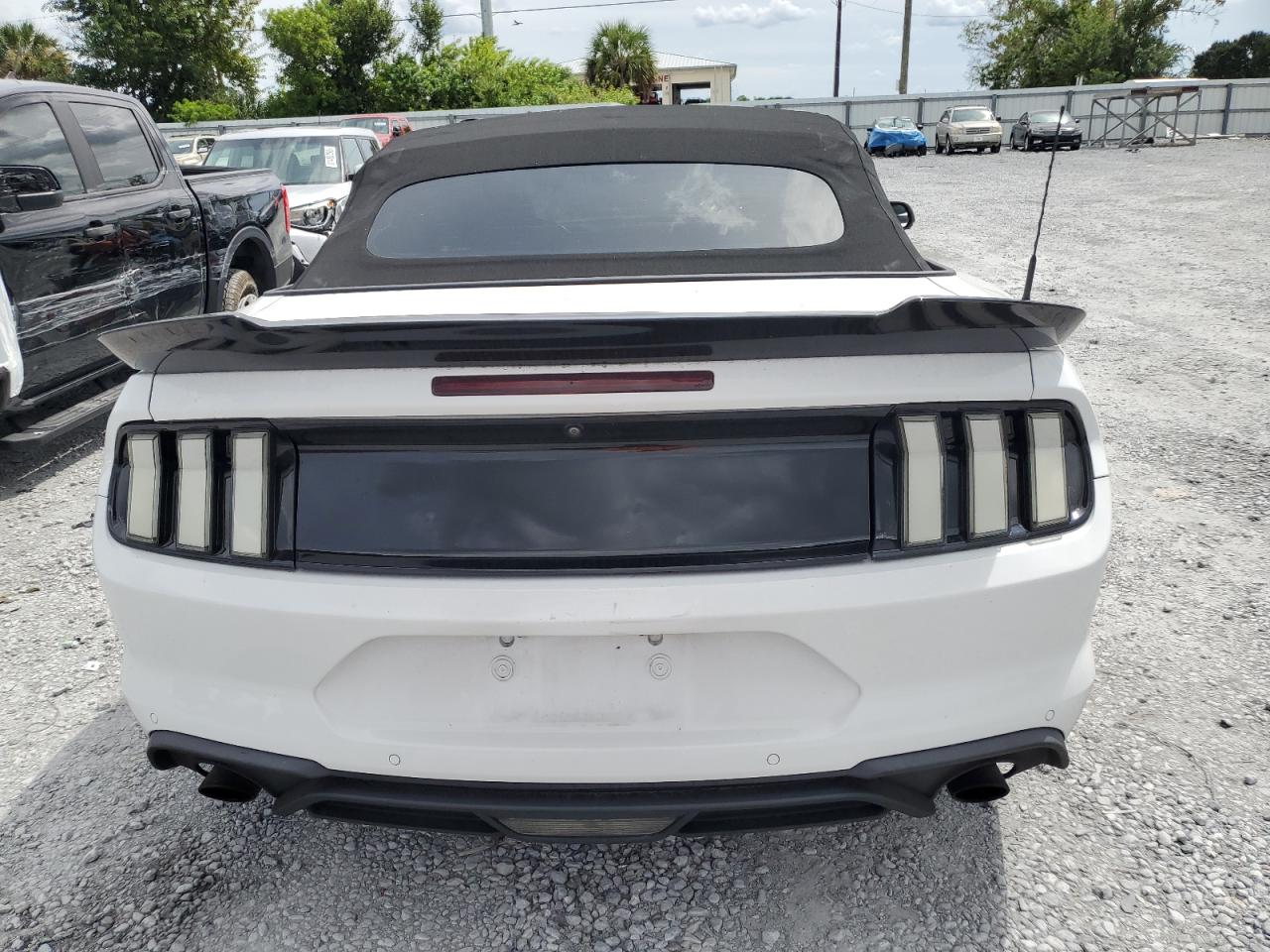 2019 Ford Mustang VIN: 1FATP8UH6K5170401 Lot: 81534935