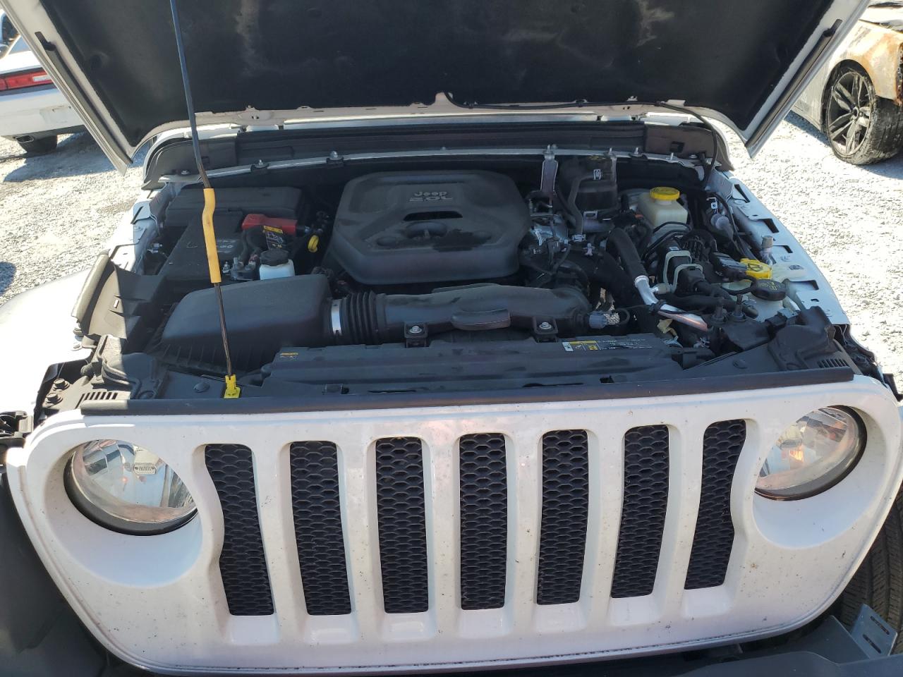 2021 Jeep Wrangler Sport VIN: 1C4GJXAN8MW508721 Lot: 81363525