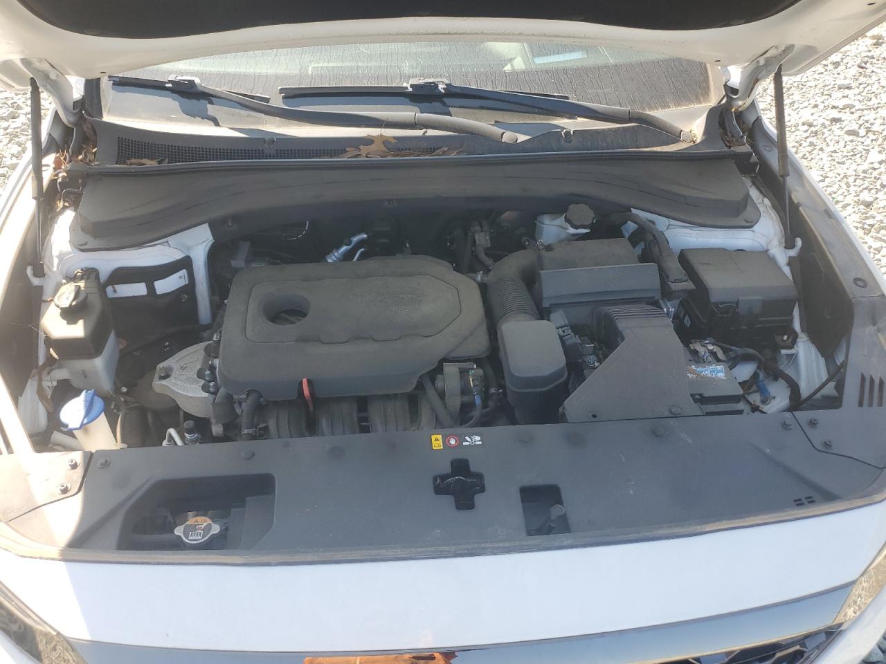 2020 Hyundai Santa Fe Limited VIN: 5NMS5CAD9LH220643 Lot: 80374125