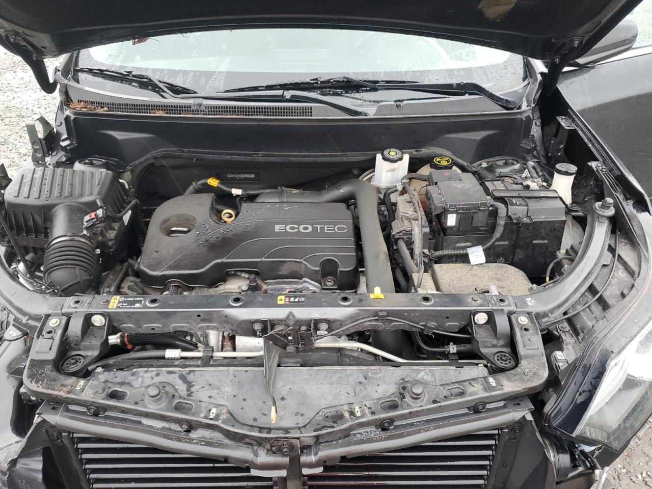 2018 Chevrolet Equinox Lt VIN: 2GNAXSEV6J6348868 Lot: 81827115