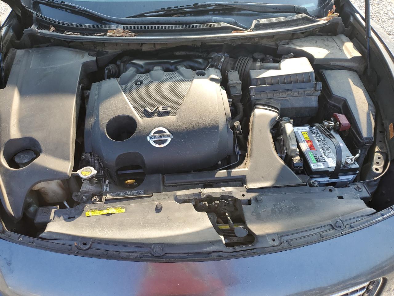 2009 Nissan Maxima S VIN: 1N4AA51E79C805603 Lot: 81263815