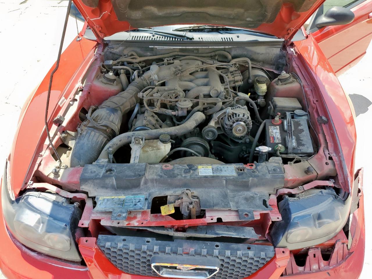 2003 Ford Mustang VIN: 1FAFP40433F427731 Lot: 80381345