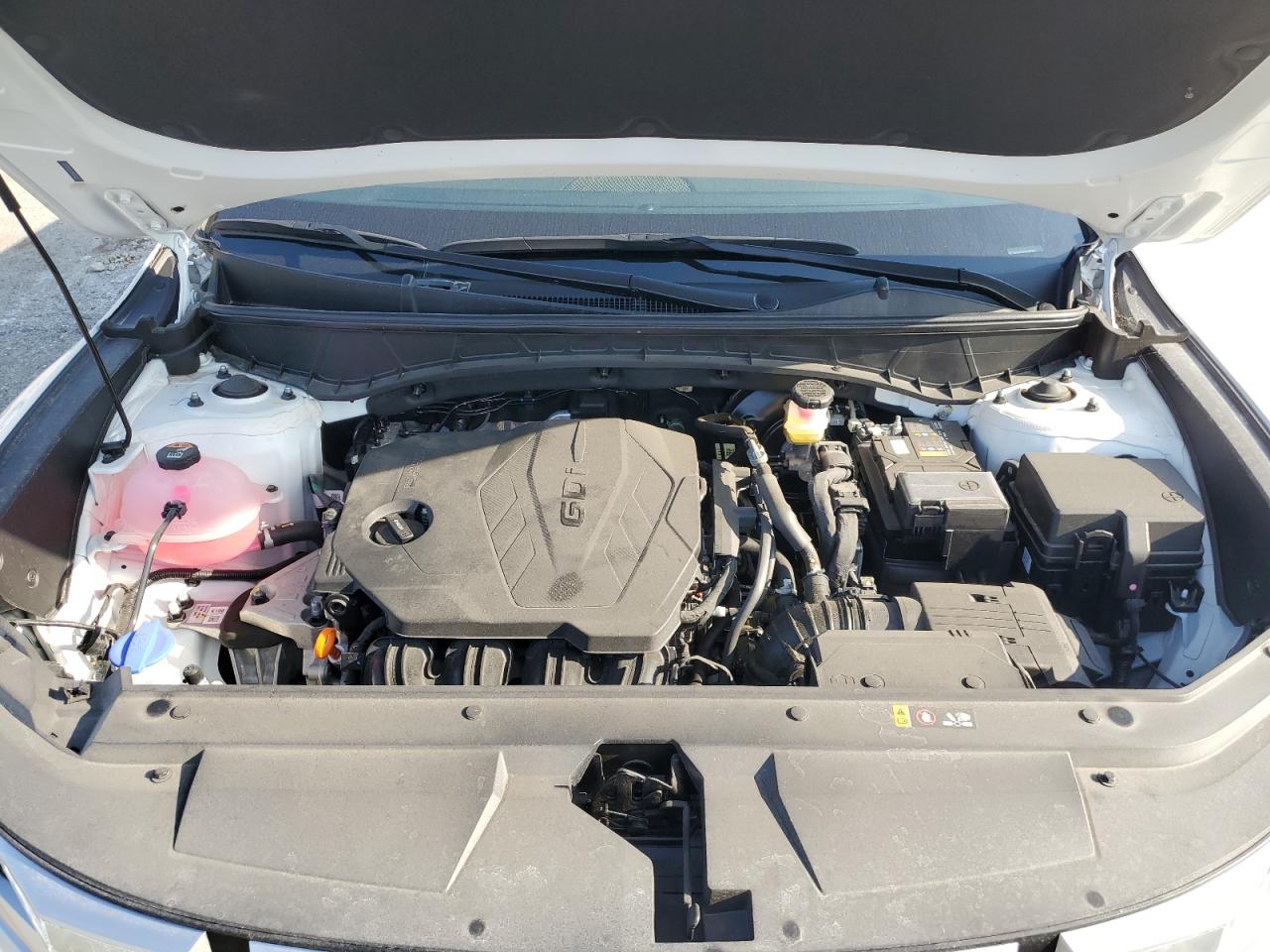 2024 Hyundai Santa Cruz Sel VIN: 5NTJBDDE5RH103900 Lot: 65919745