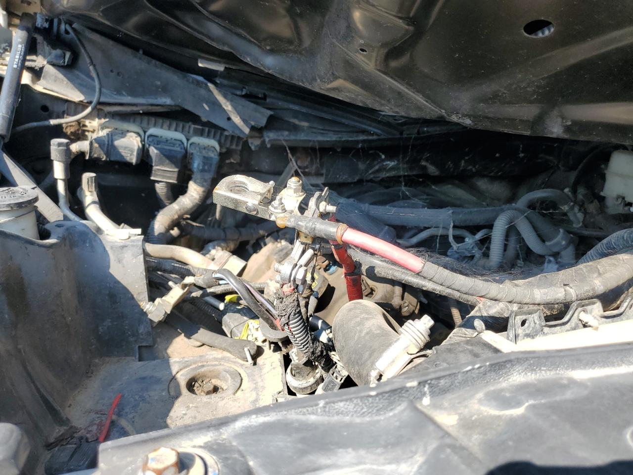 2011 Ford F150 Supercrew VIN: 1FTFW1EFXBFC17809 Lot: 67365975