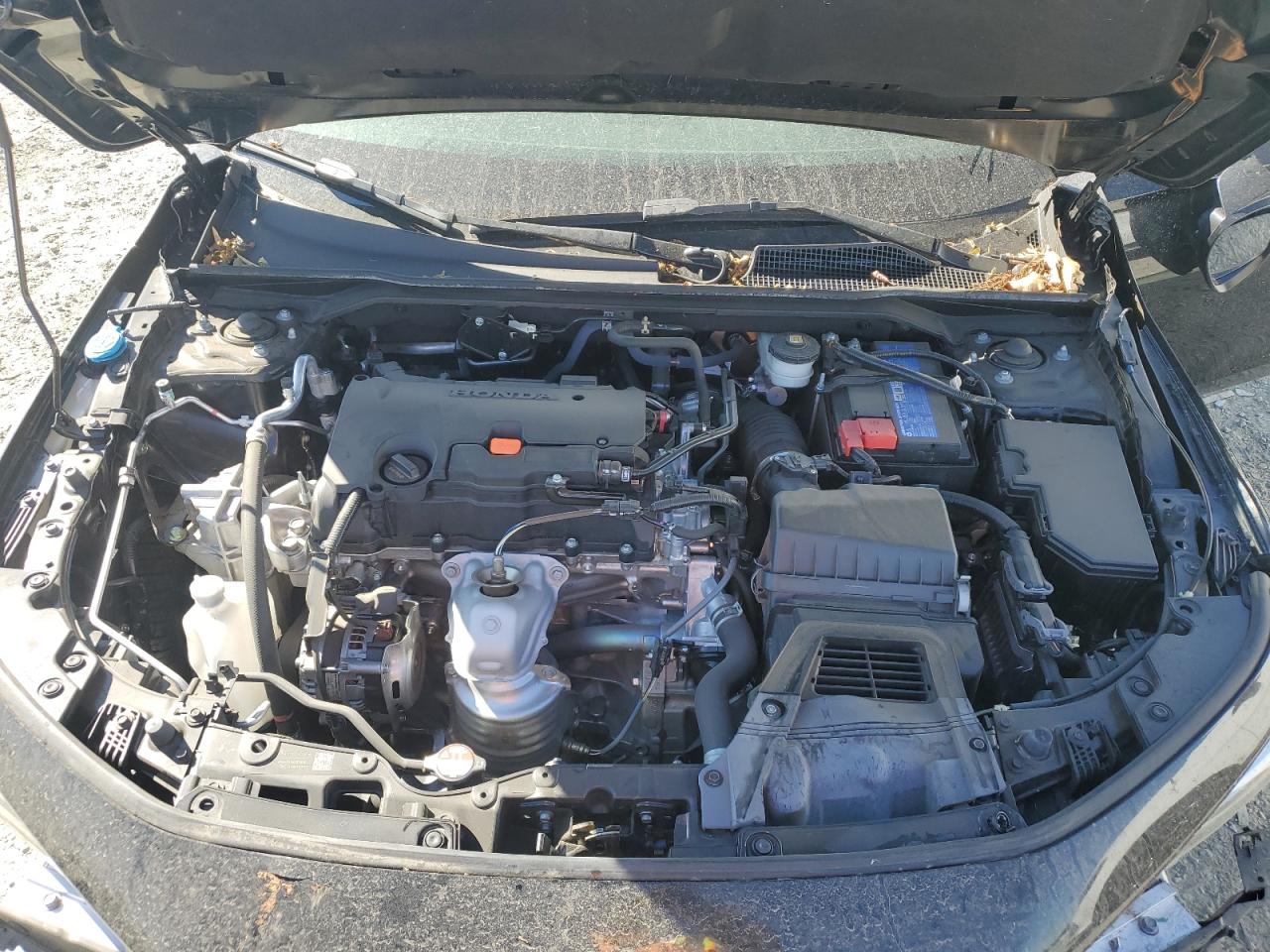2024 Honda Civic Sport VIN: 2HGFE2F59RH572561 Lot: 71471615
