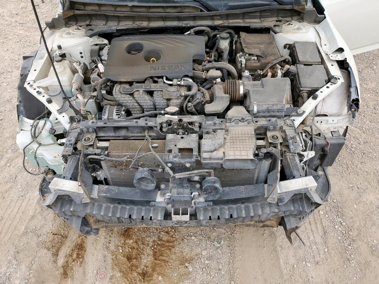 2019 Nissan Altima Sl VIN: 1N4BL4EV5KC216249 Lot: 84353975