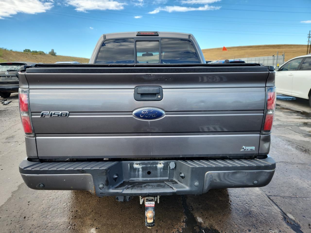 2010 Ford F150 Supercrew VIN: 1FTFW1EV5AFA45355 Lot: 80217955