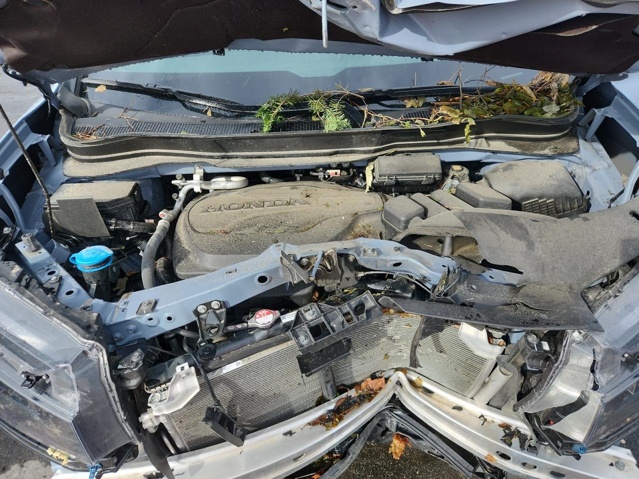 2025 Honda Ridgeline Sport VIN: 5FPYK3F14SB009858 Lot: 81737725