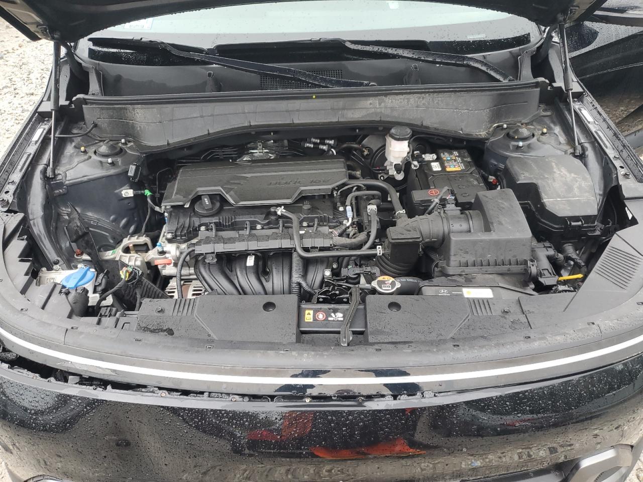 2024 Hyundai Kona Sel VIN: KM8HCCAB8RU081214 Lot: 81276355