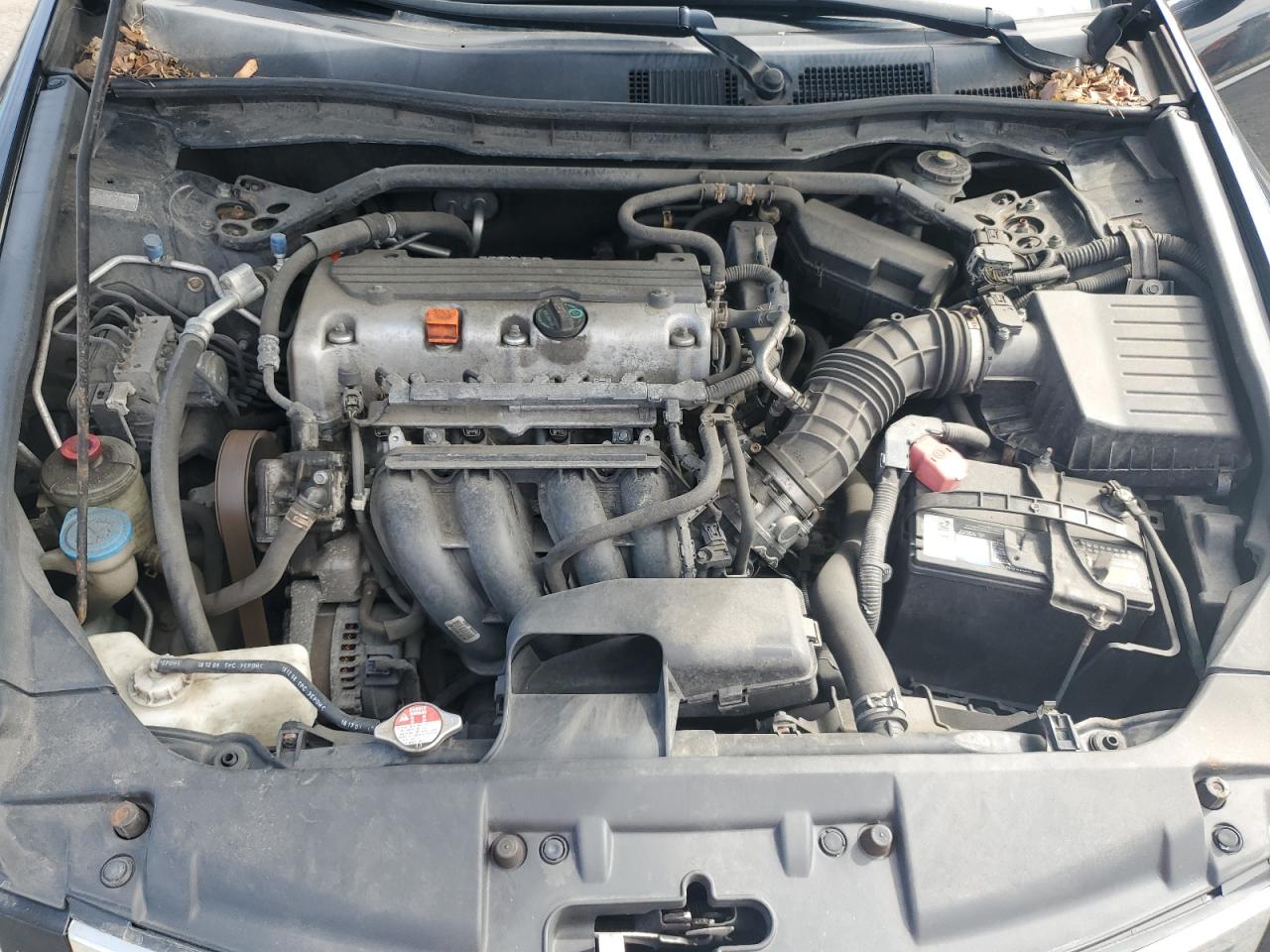 2010 Honda Accord Exl VIN: 1HGCP2F88AA119302 Lot: 70560815